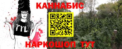 сатива Ставрополь