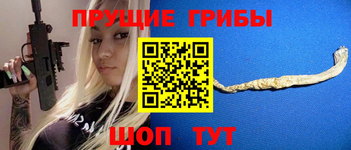 Обнинск  Галлюциногенные грибы MAGIC MUSHROOMS  Вход с VPN  Псилоцибиновые грибы GOLDEN TEACHER 